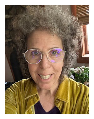 AJ Brownstein for School Board Madison County North Carolina 2026