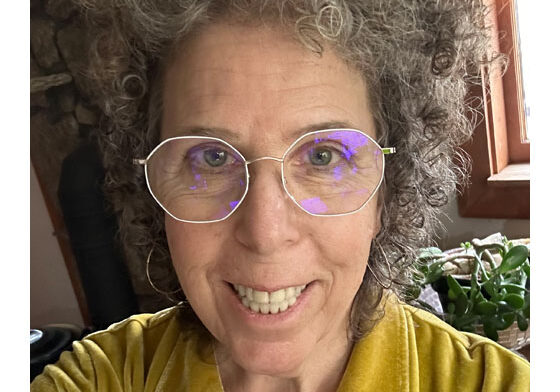 AJ Brownstein for School Board Madison County North Carolina 2026